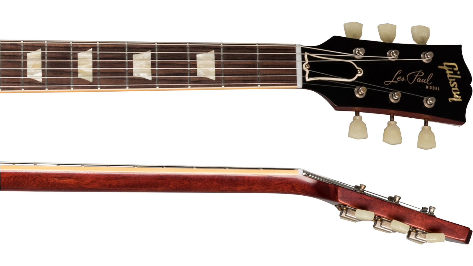 neck-side-1600_900.png