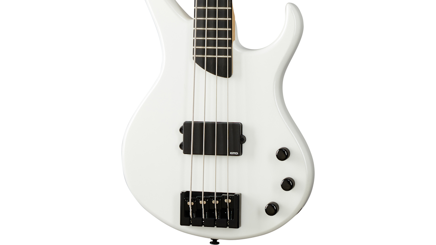 D-1 Bass | Gibson Japan