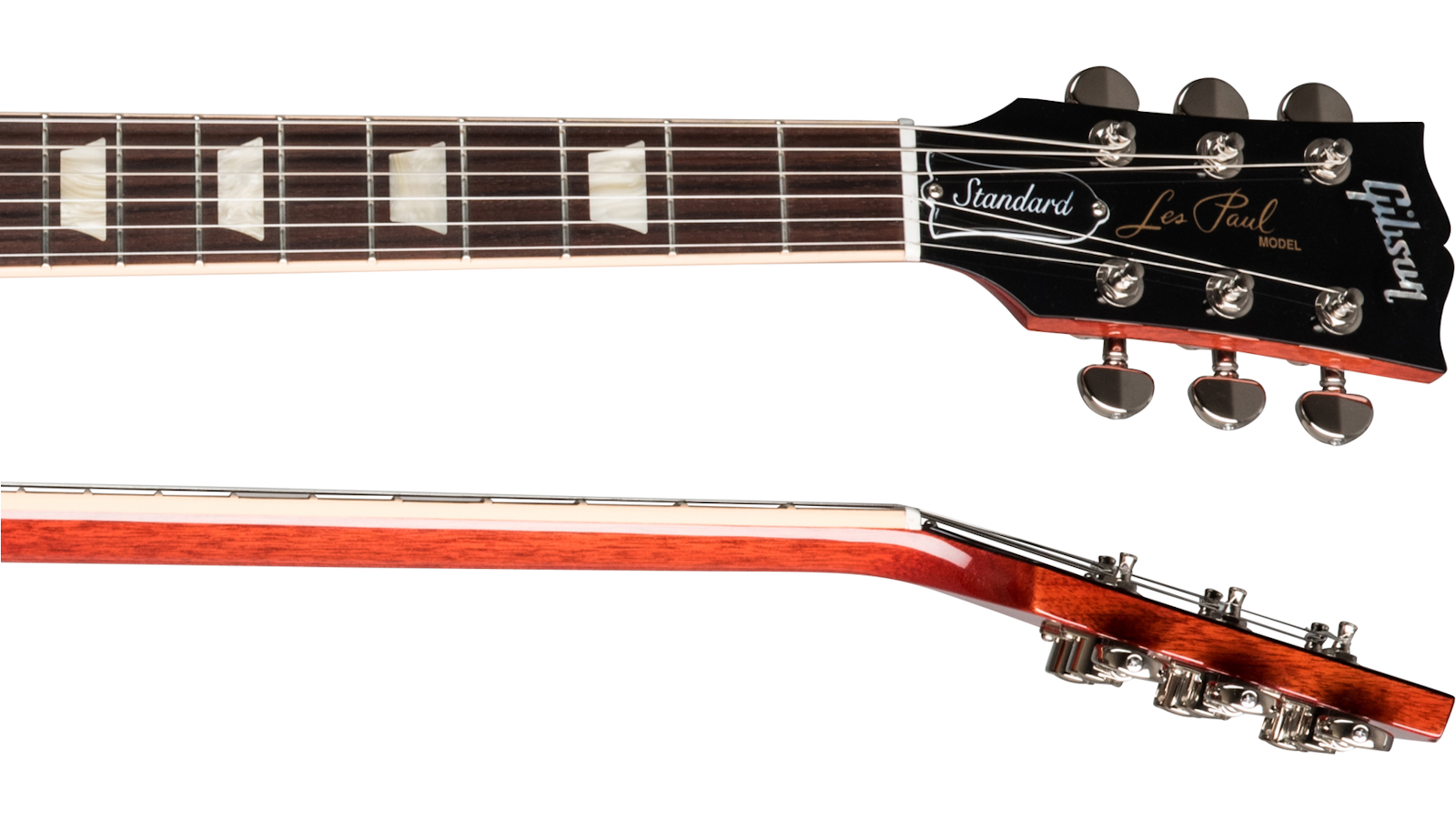 neck-side-1600_900.png