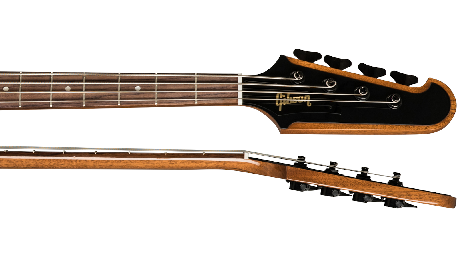 Thunderbird Bass 2019 | Gibson Japan