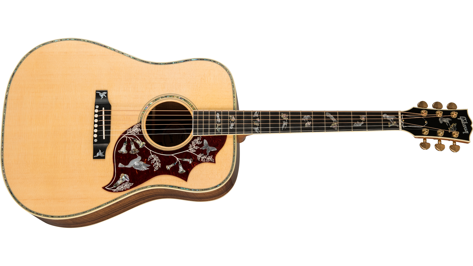 Hummingbird Custom