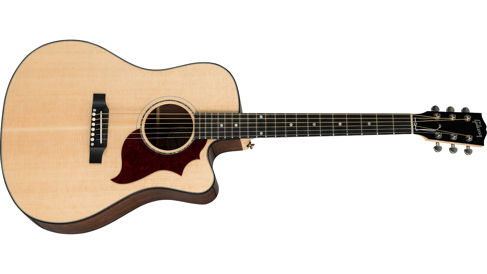 Hummingbird Walnut M【生産終了】
