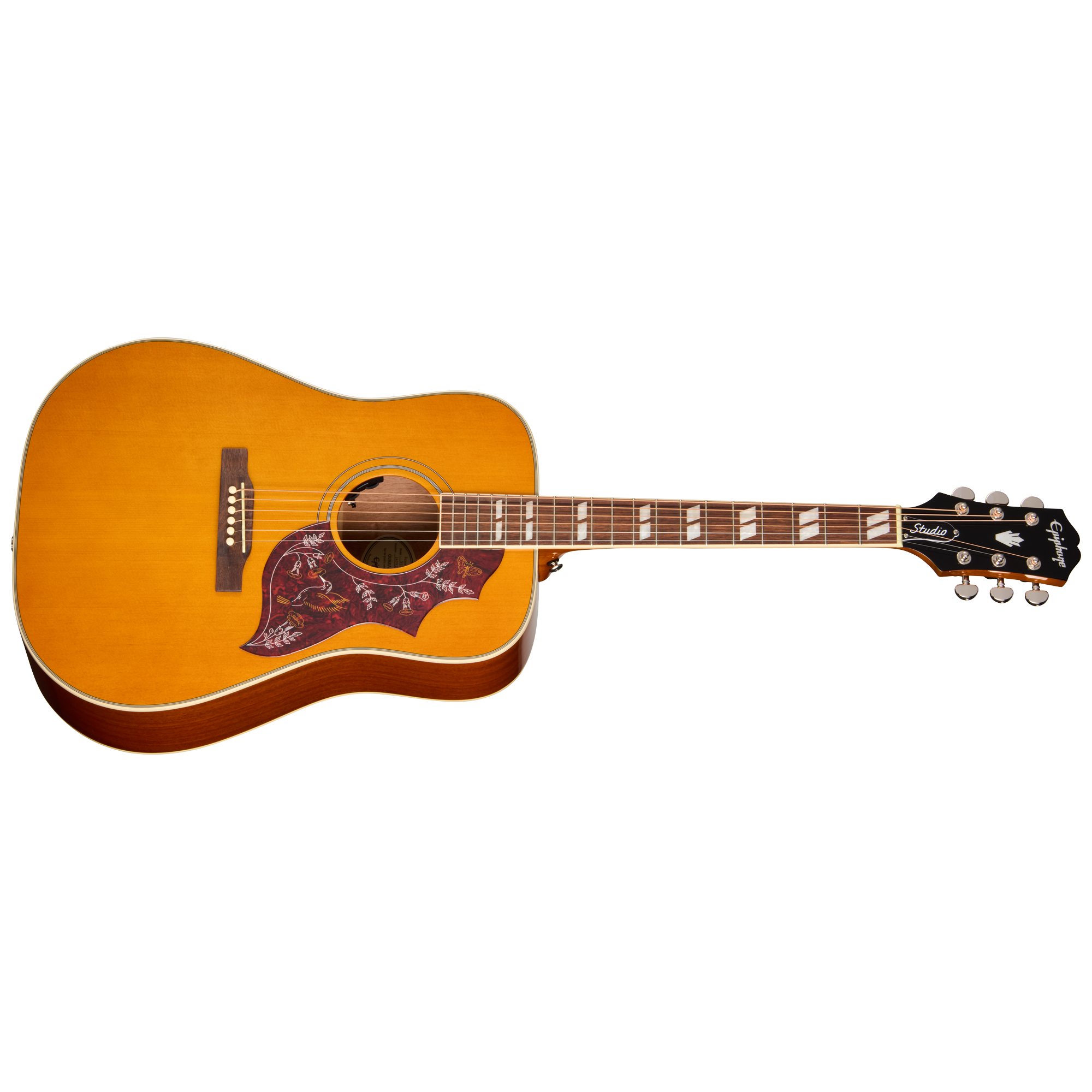 Hummingbird Studio | Gibson Japan