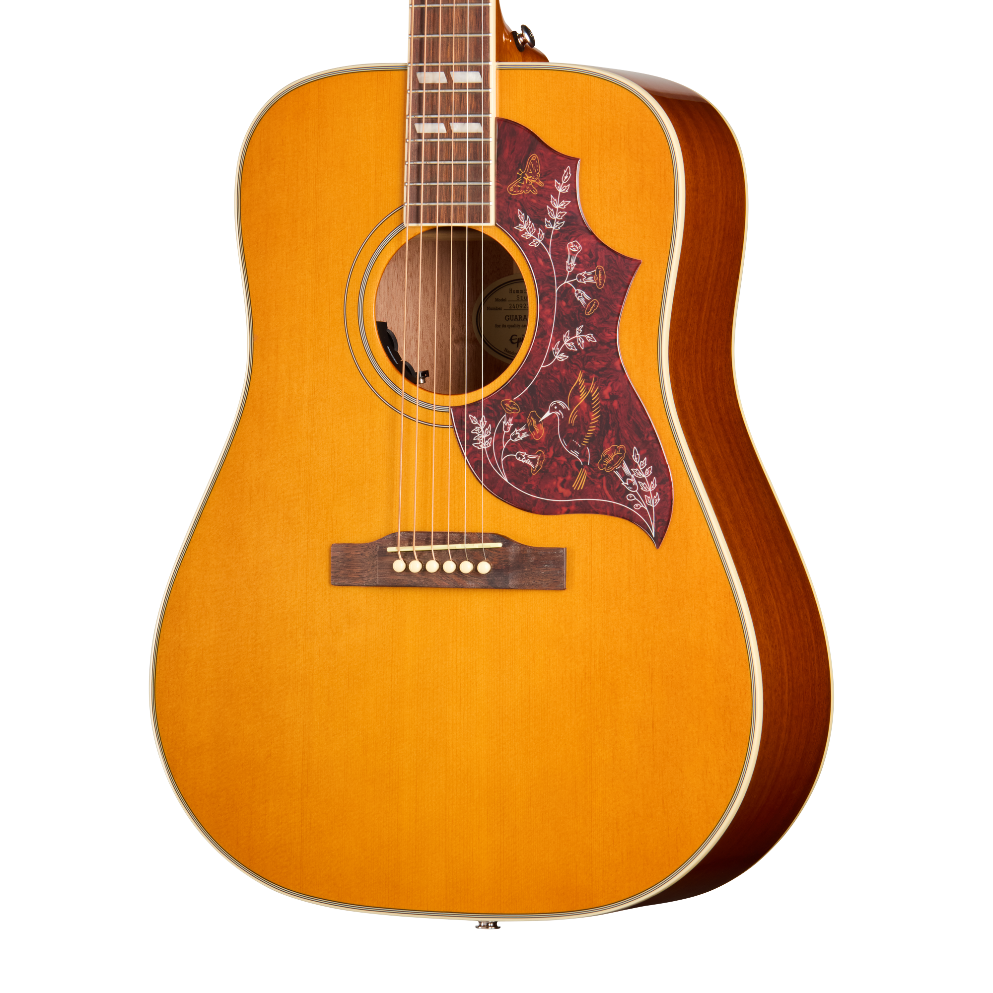 Hummingbird Studio | Gibson Japan