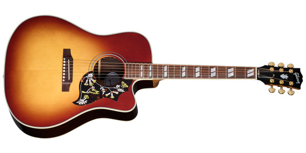 Hummingbird Standard Rosewood EC