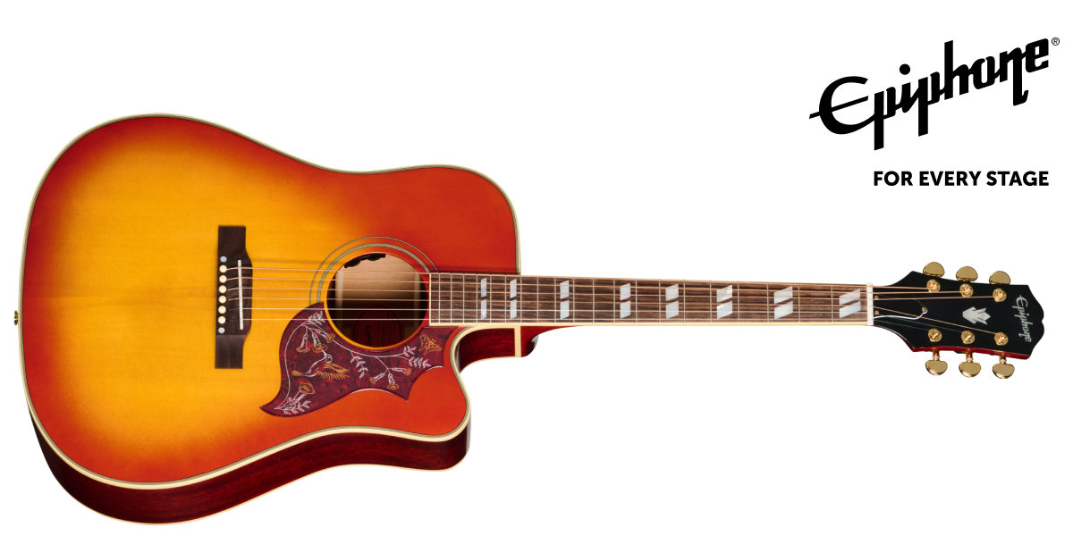 Hummingbird Standard EC