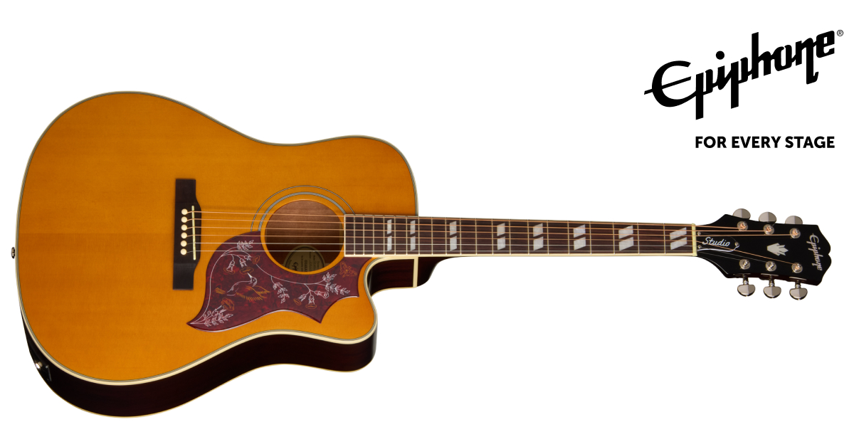 Hummingbird Studio EC