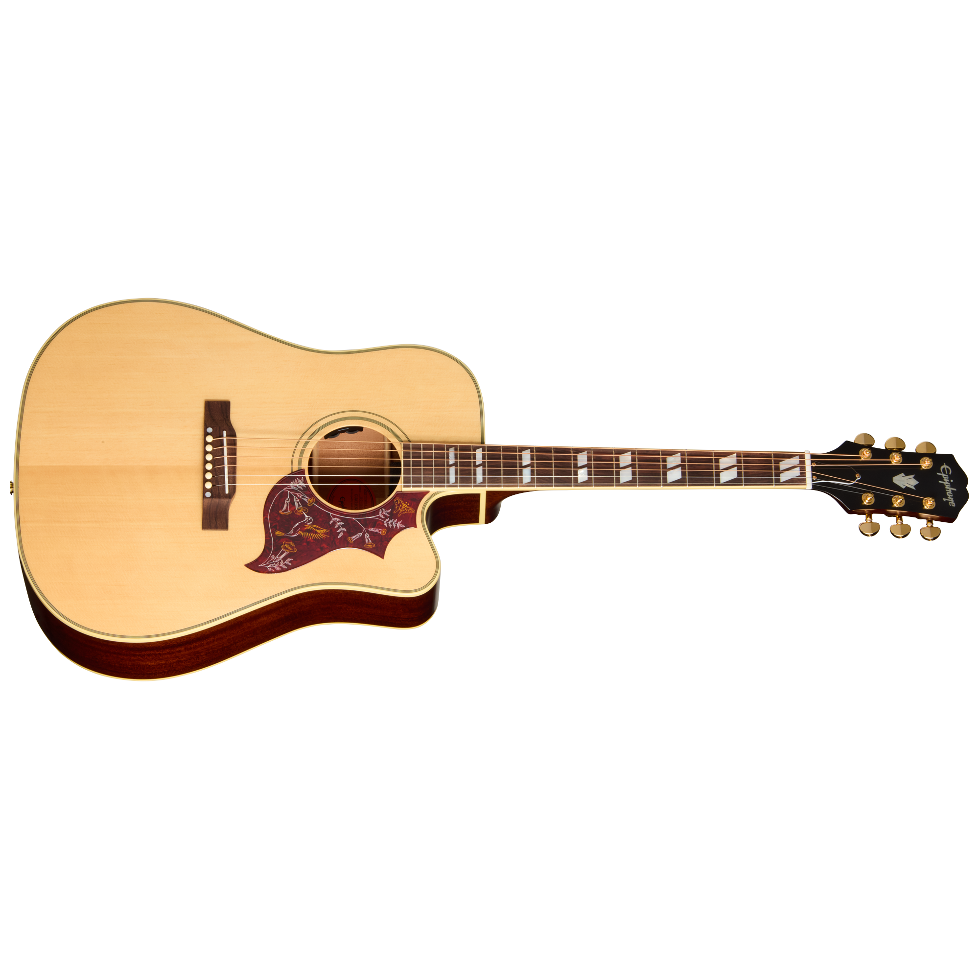 Hummingbird Standard EC | Gibson Japan