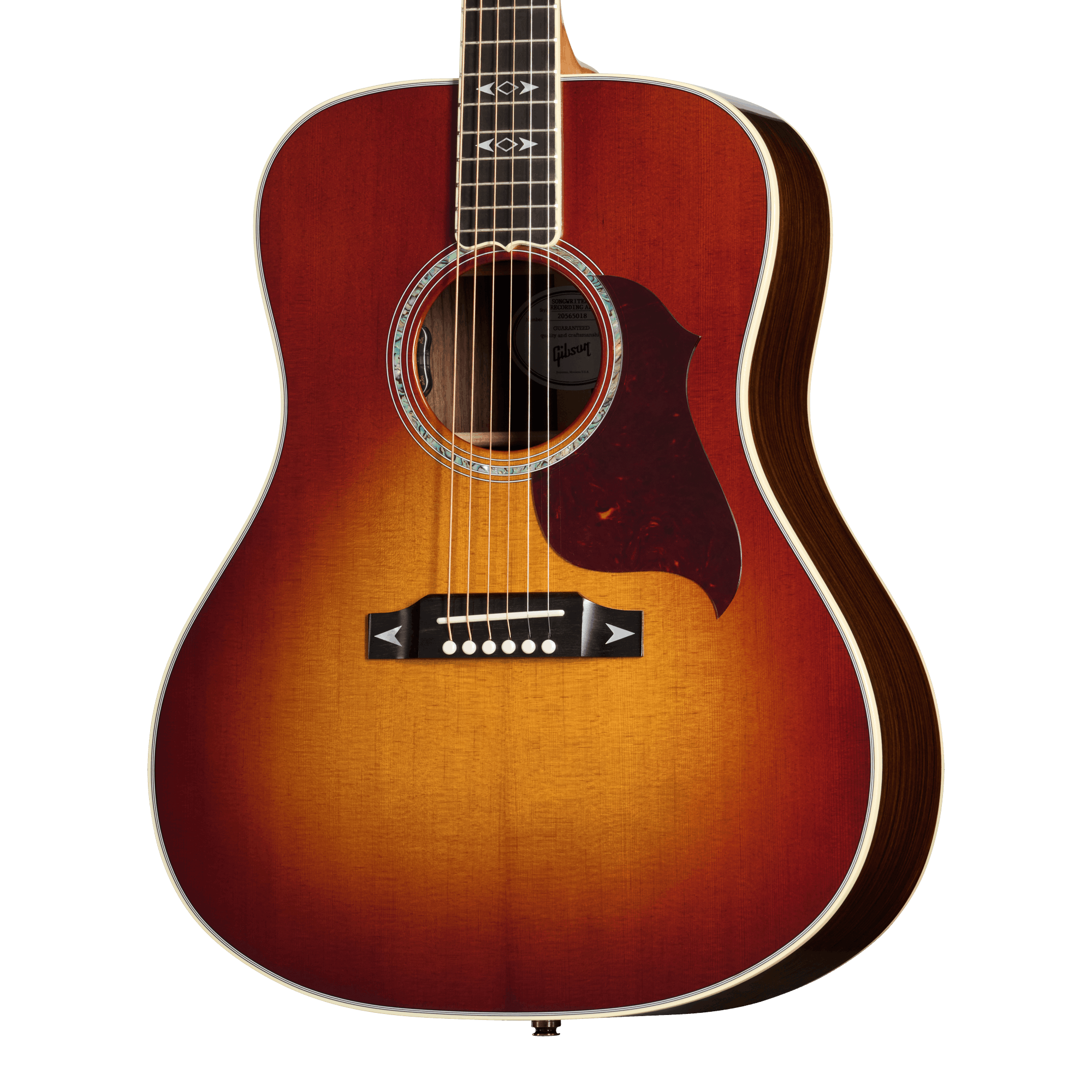 Songwriter Recording Artist | Gibson Japan